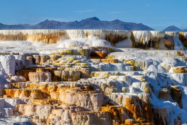 Yellowstone Ulusal Parkı 'ndaki Mammoth Kaplıcaları' ndaki Kanarya Baharı teraslarında sıcak su çağlayanı. Kireçtaşı terası hidrotermal sular ve zeminin eğimi nedeniyle sürekli değişmektedir..
