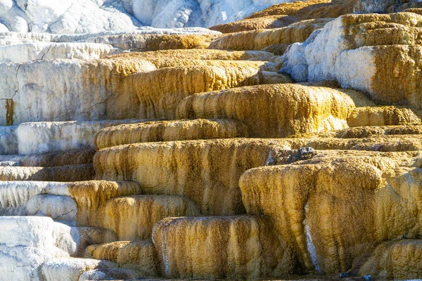 Närbild Palette Spring Mammoth Hot Springs Yellowstone National Park Färgglada — Stockfoto