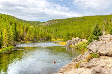 Wyoming, ABD - 24 Ağustos 2019: Wyoming, ABD 'deki Yellowstone Ulusal Parkı' ndaki Firehole River 'da yüzen ve serinleyen ziyaretçiler. Nehir Yellowstone Ulusal Parkı 'ndaki birkaç önemli gayzer havzasından akar..