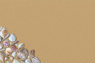 Kopya alanı ile kumlu plaj arka planında renkli deniz kabukları.