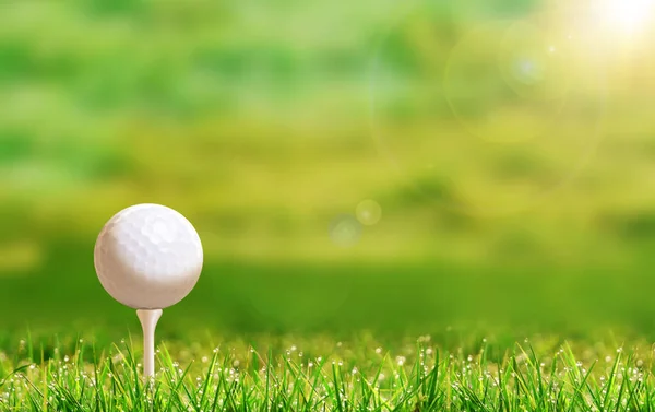 Golf Topu Sahanın Üzerinde Çözülmüş Bokeh Arkaplan Kopyalama Alanı Ile — Stok fotoğraf