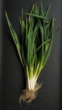 Endonezya 'da siyah izole edilmiş arka planda pırasa veya daun bawang