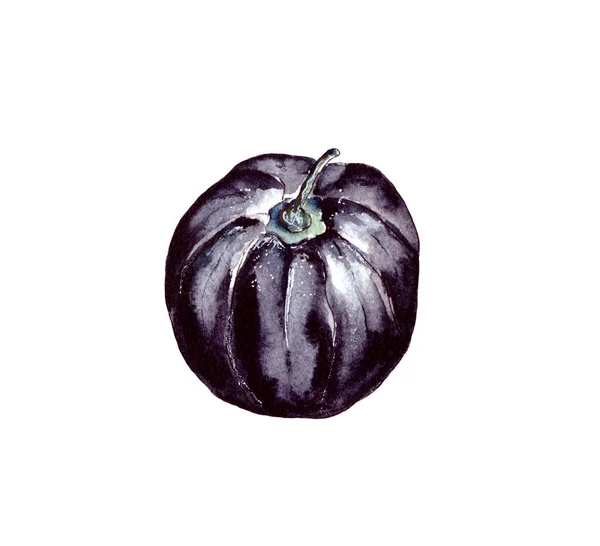 Illustrazione Acquerello Disegnata Mano Attributi Accessori Festeggiare Halloween Zucca Nera — Foto Stock