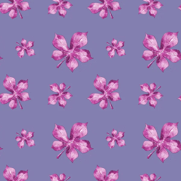水彩画 紫色背景上的一套无缝秋叶图案 孤立的 — 图库照片