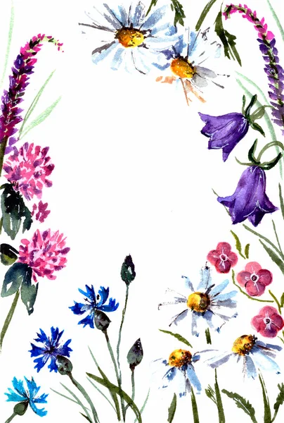 Akvarell illusztráció keret finom vadvirágok, meghívó kártya elszigetelt fehér háttér — Stock Fotó
