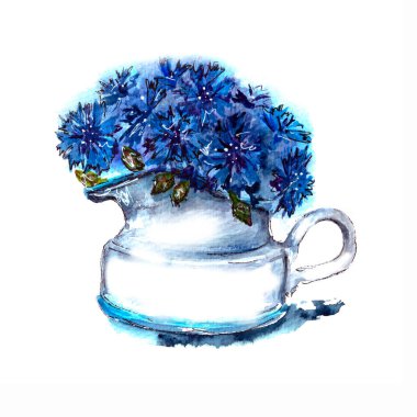 Suluboya çizimi. Beyaz arka planda izole edilmiş beyaz seramik bir sürahi içinde bir buket mavi çiçek.