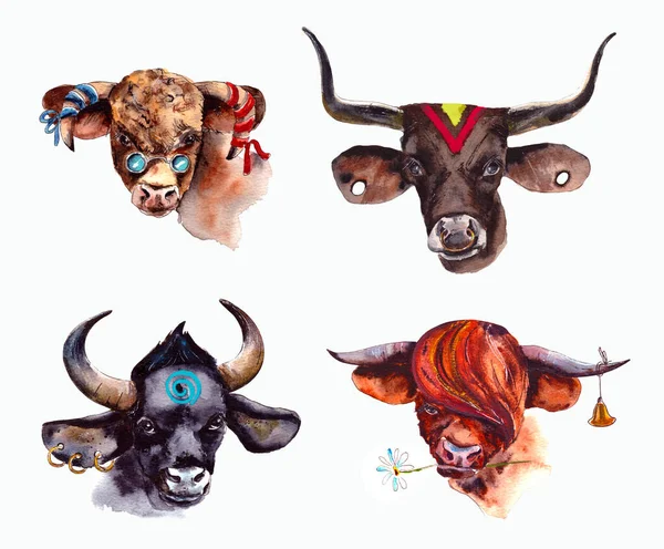 Watercolor illustration.Year Of The Bull 2021.Cute unusual steers Ілюстрація Нового року і Різдва. Булла - символ 2021,1 року, ізольованого на білому тлі. — стокове фото