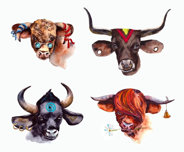 Watercolor illustration.Year Of The Bull 2021.Cute unusual steers. Illustration for the New year and Christmas. The bull is the symbol of the year 2021.isolated on a white background