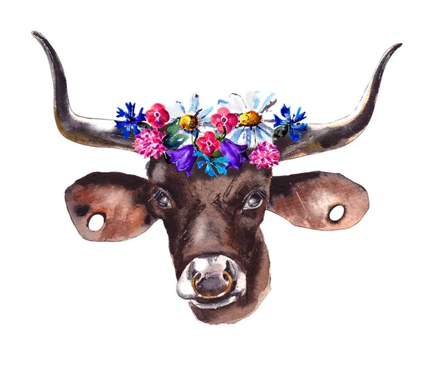 水彩画イラスト ブルの年2021 彼の頭の上に野生の花の花輪を持つかわいい珍しい雄牛 新年とクリスマスのイラスト 雄牛は東カレンダーの2021年のシンボルです 白い背景に隔離されています — ストック写真