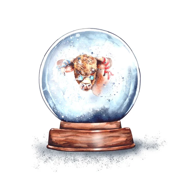 Aquarell-Illustration.Magische Weihnachtsglasschneekugel auf einem Holzständer mit Stierkopfinnen.Gehörntes Bullensymbol des Jahres 2021 nach dem östlichen Horoskop.Neujahrsüberraschung, Geschenk — Stockfoto