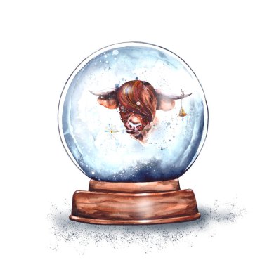 Suluboya çizimi. Doğu burçlarına göre 2021 yılının boynuzlu boğa sembolü. Noel Baba 'nın hediyesi, kar hatırası. Beyaz bir boğa üzerinde izole edilmiş. 