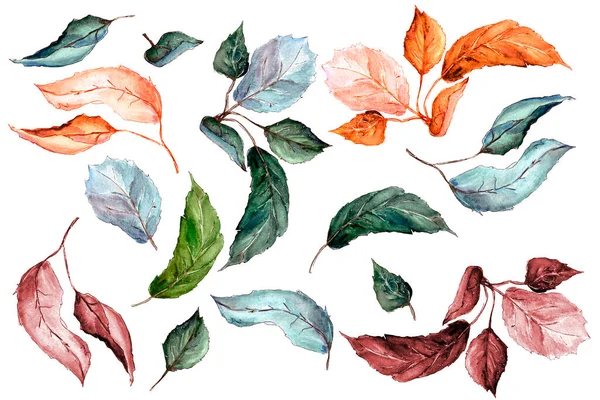 Watercolor Illustration Set Apple Leaves Different Colors Brown Yellow Green — Stock Photo, Image