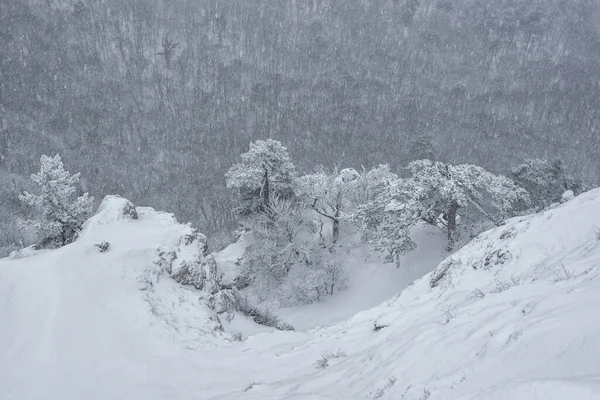 Chute Neige Dans Les Montagnes Crimée Vue Falaise — Photo