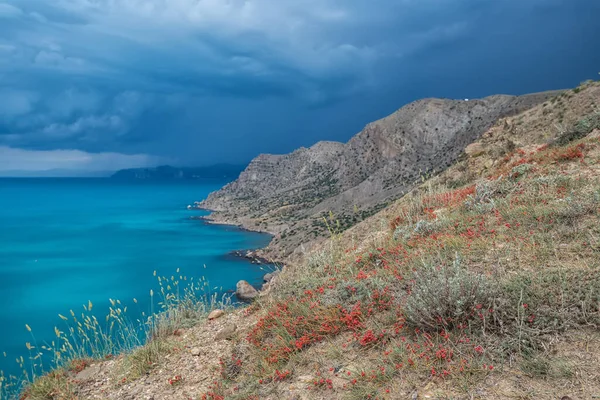 Landscape Wild Coast Crimea Turquoise Sea Red Ephedra Berries Foreground — Stock Photo, Image