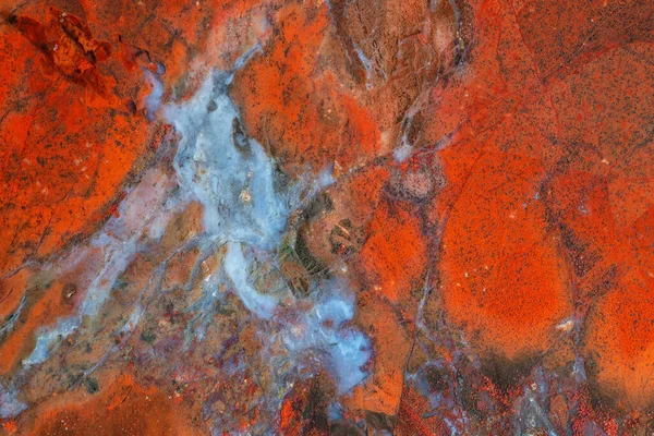 Vollbild Textur Aus Leuchtend Rotem Jaspis Mit Blauem Chalcedon — Stockfoto