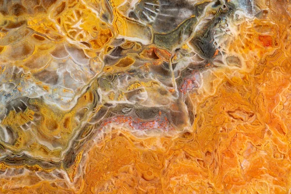 Moskova bölgesinden fosilleşmiş mercanlarda çok renkli agatın tam ekran yakın çekim dokusu