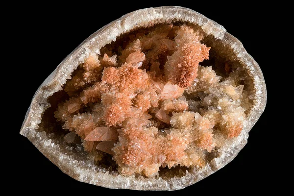 Druse Cristale Calcit Portocaliu Interiorul Unei Cochilii Fosilizate Izolate Fundal — Fotografie, imagine de stoc