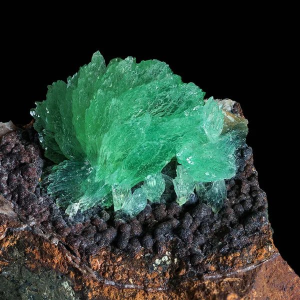 クリミアのケルチ半島からの黒い背景を持つ茶色の鉄鉱石岩の上の安山岩鉱物の緑の結晶 — ストック写真