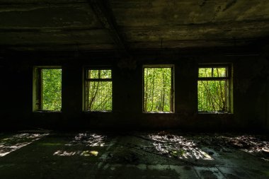 Dışarıda yemyeşil bitki örtüsü olan terk edilmiş modern bir sanayi binasının duvarında dört pencere var.