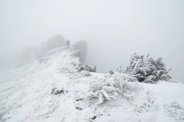 Turista Precipício Montanha Inverno Uma Névoa Densa — Fotografia de Stock