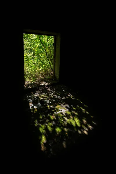 Überwucherte Tür Einem Verlassenen Gebäude Mit Licht Und Schatten Auf — Stockfoto