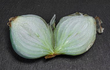 Siyah arka planda taze, sulu soğanlar.