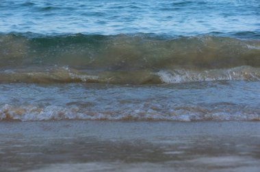 Deniz sörfü, kumsalda dalgalar yuvarlanıyor.