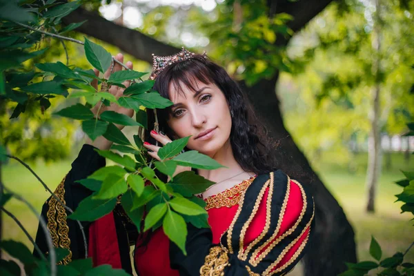 Королева Красивая Девушка Короне Фантазия Средневековое Черно Красное Платье Золотой — стоковое фото