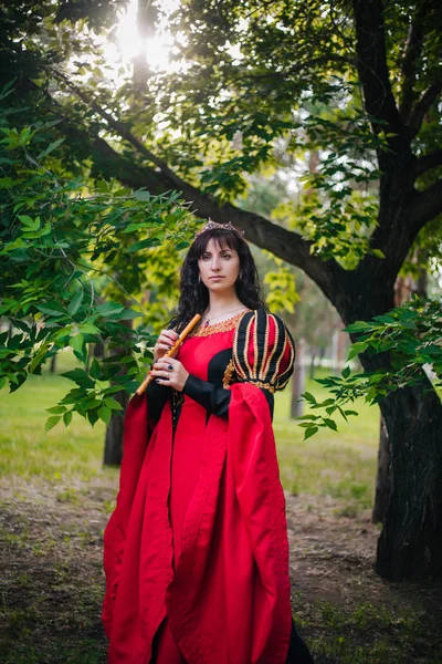 Rainha Com Uma Flauta Nas Mãos Menina Bonita Coroa Joga — Fotografia de Stock