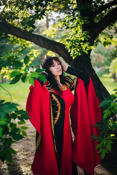 Rainha Menina Bonita Coroa Fantasia Vestido Preto Vermelho Medieval Com — Fotografia de Stock