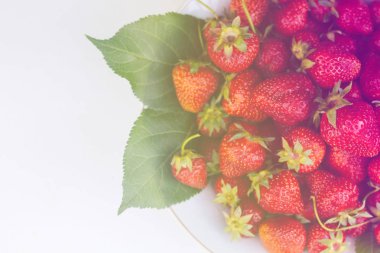 Beyaz tabakta kırmızı çilek. Bir sürü dut. Yaz meyveleri