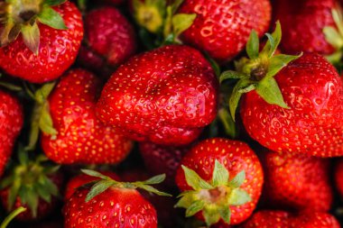 Beyaz tabakta kırmızı çilek. Bir sürü dut. Yaz meyveleri