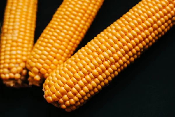 Gele Maïs Een Zwarte Achtergrond Herfstoogst — Stockfoto