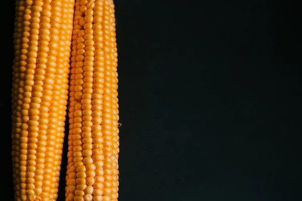 Yellow Corn Black Background Autumn Harvest — Stock Photo, Image