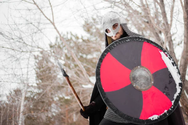 Viking Winter Mit Einem Speer Und Einem Runden Schild Von — Stockfoto