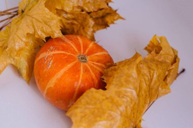 Kuru sonbahar yapraklı balkabağı