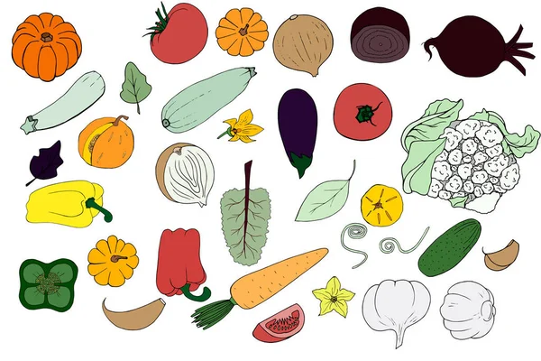 Σύνολο Διανυσματικών Λαχανικών Doodle Νόστιμο Και Υγιεινό Φαγητό Χορτοφάγος Και Εικονογράφηση Αρχείου