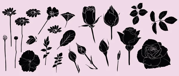 Fleurs Isolées Vectorielles Jeu Couleurs Pour Les Cosmétiques Site Web — Image vectorielle
