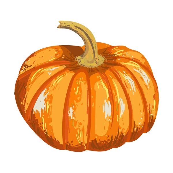 Abóbora Isolada Vetorial Ilustração Abóbora Para Desenho Outono Férias Halloween — Vetor de Stock