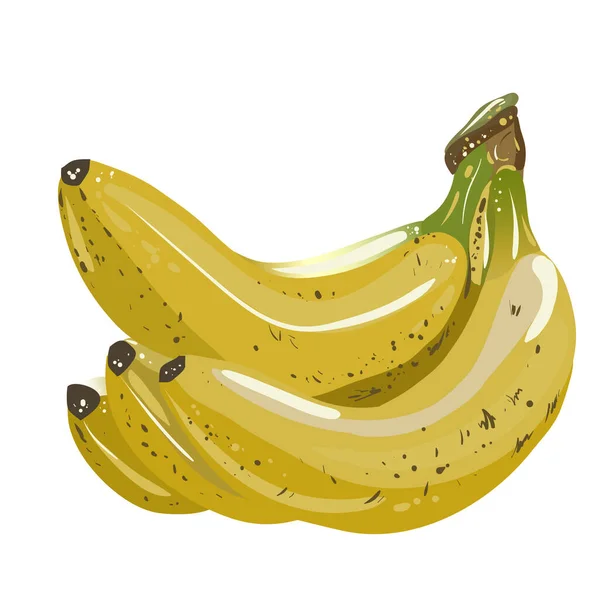 Векторная Иллюстрация Бананов Изолированные Желтые Фрукты Живописные Вкусные Предметы Дизайна — стоковый вектор