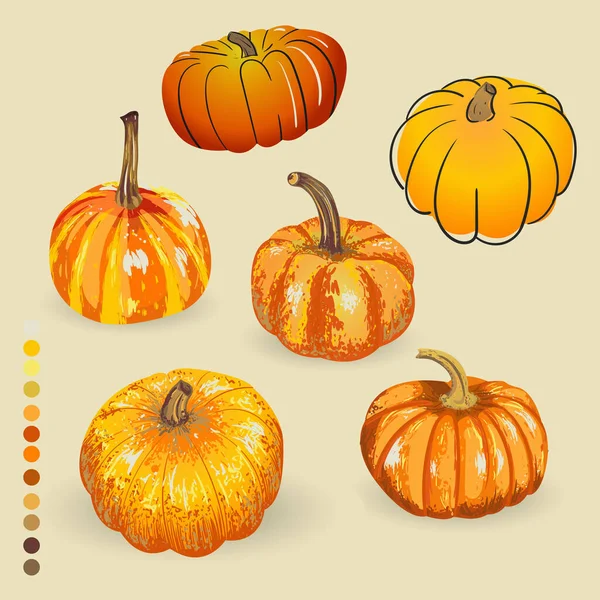 Векторный Набор Изолированной Тыквы Иллюстрация Тыквы Осеннего Дизайна Хэллоуин — стоковый вектор