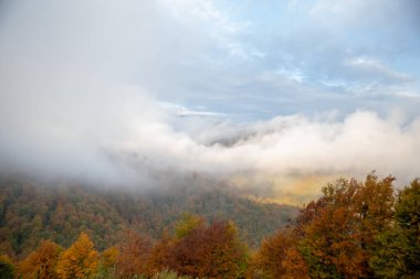 Renkli ağaçların ve kısmen bulutlu gökyüzünün üzerinde yuvarlanan sisli bir sonbahar manzarası..