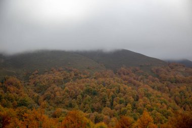 Bulutlu bir gökyüzünün altında ağaçlarla kaplı tepeleri olan sonbahar manzarası. Sonbahar renkleri manzarayı güzelleştirir.