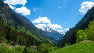 Alplerin güzel doğası.