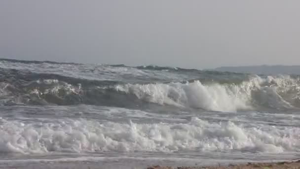 Морське Купання Берег Чорного Моря Хвилі Чорного Моря — стокове відео