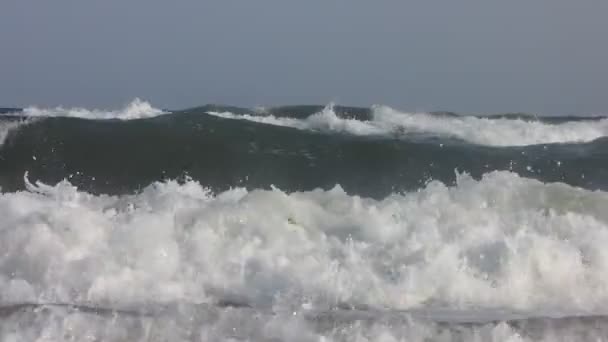 Banho Mar Praia Mar Negro Ondas Mar Negro — Vídeo de Stock