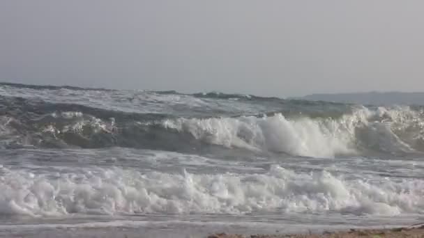 海水浴 黒海のビーチ 黒海の波 — ストック動画