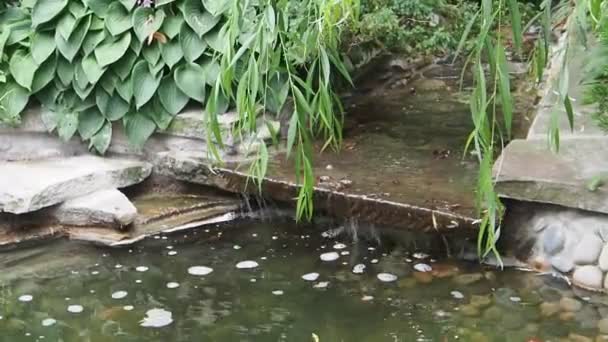 Statische Aufnahme Des Babbling Creek Mit Fließenden Steinbrocken — Stockvideo