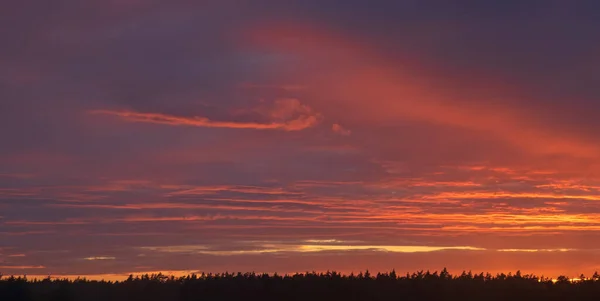 Céu Dramático Colorido Com Nuvem Pôr Sol — Fotografia de Stock