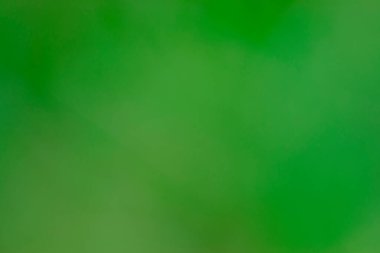 Kireç yeşili duvarlar bulanık arkaplan